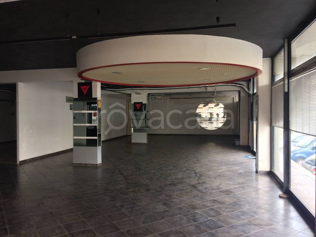 immagine annuncio 3 di 12