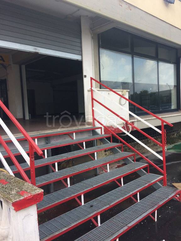 immagine annuncio 7 di 12