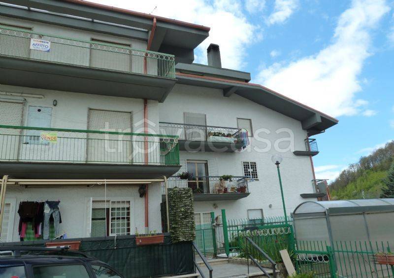 immagine annuncio 9 di 12