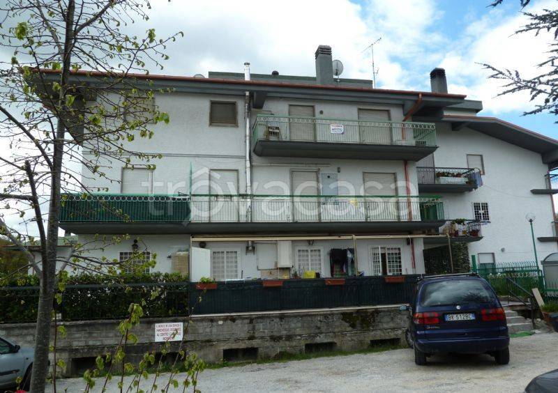 immagine annuncio 10 di 12