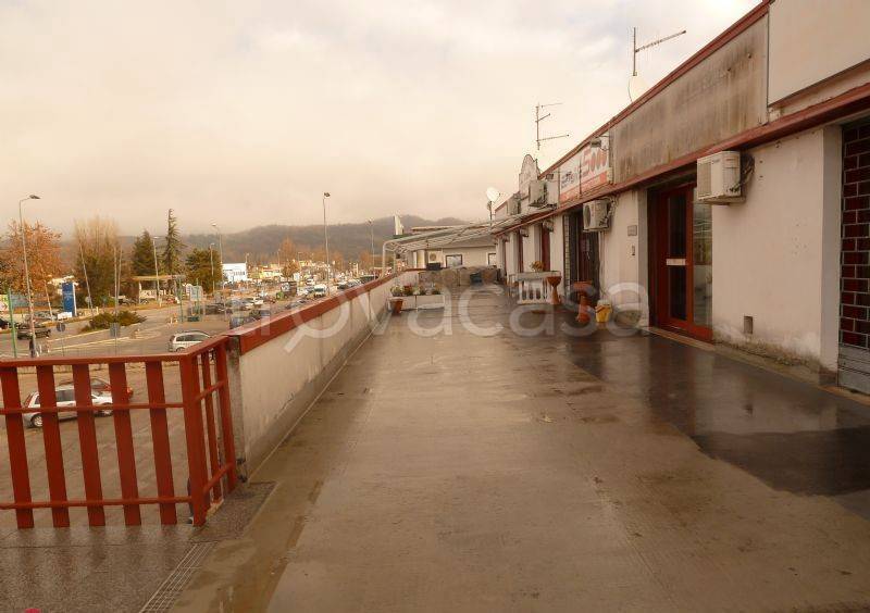 immagine annuncio 2 di 7