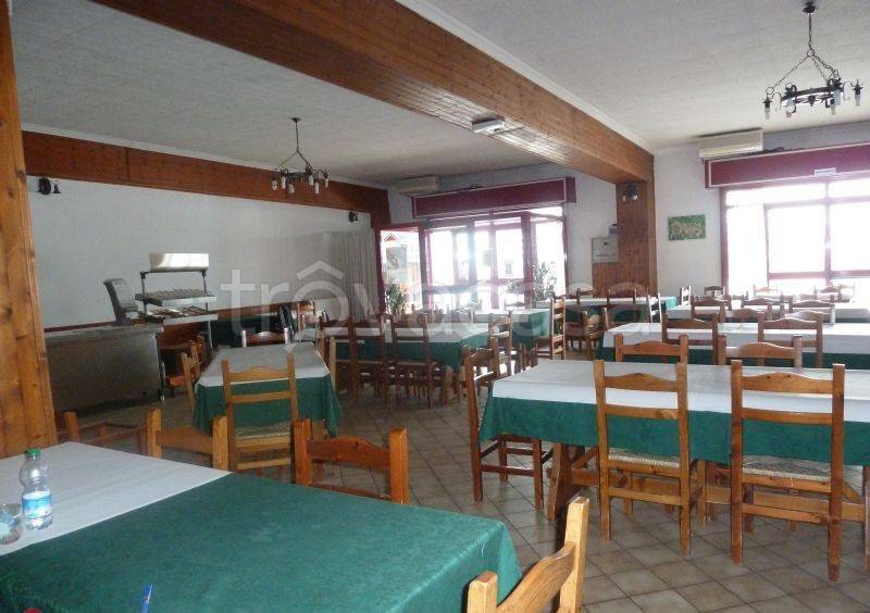 immagine annuncio 4 di 7