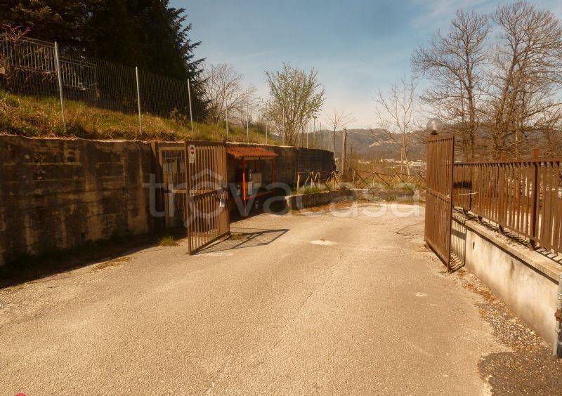 immagine annuncio 12 di 14