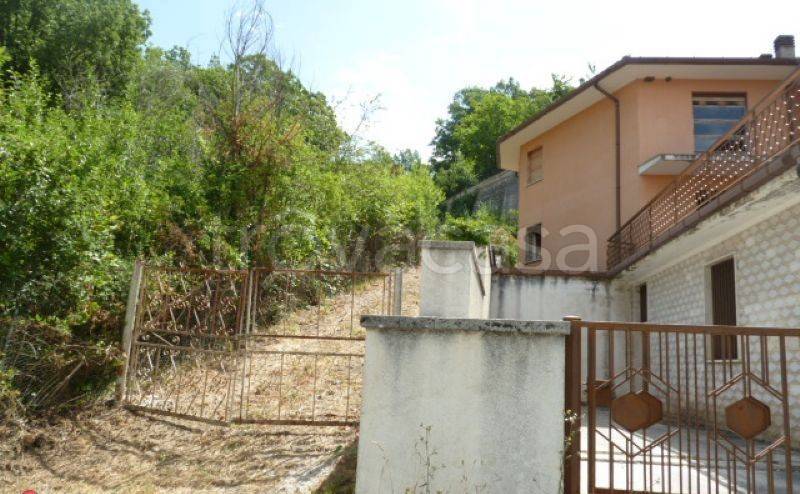 immagine annuncio 9 di 12