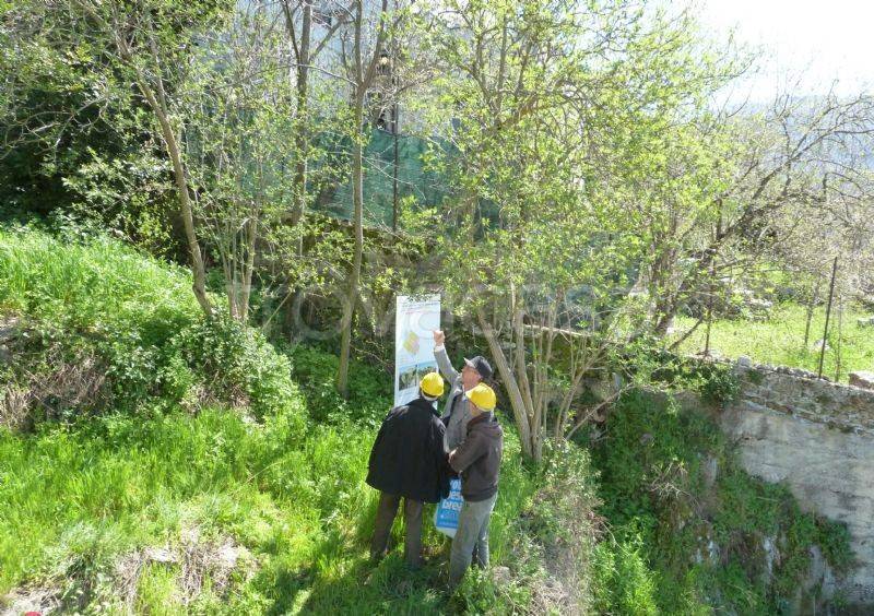 immagine annuncio 6 di 13