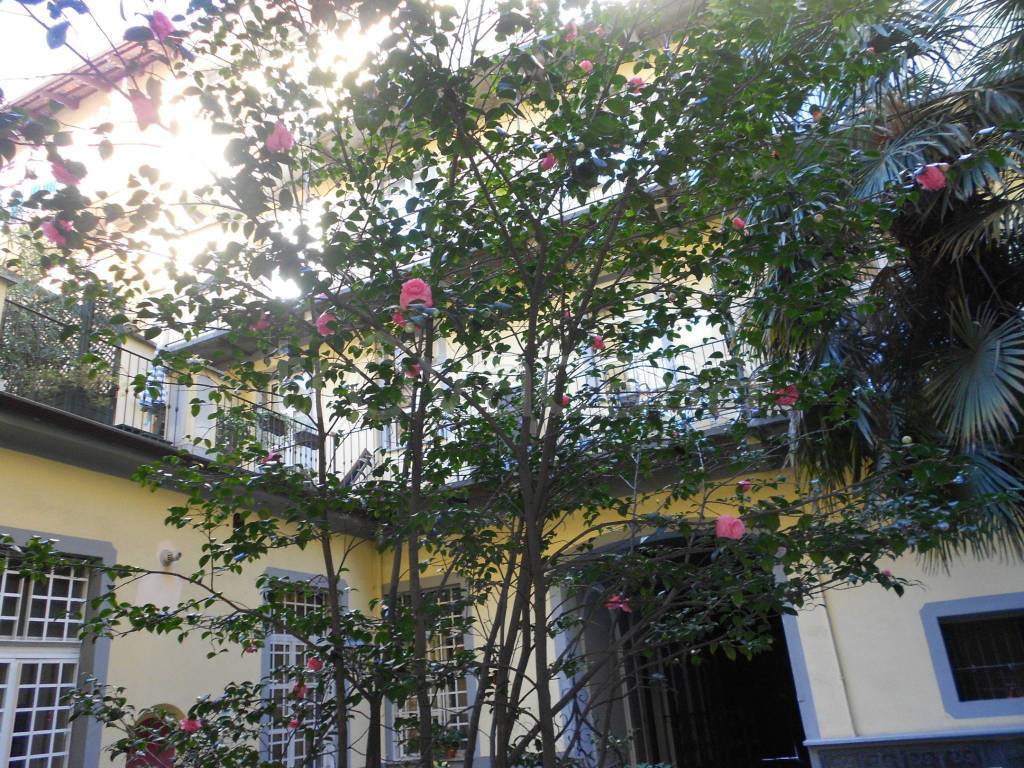 immagine annuncio 8 di 12