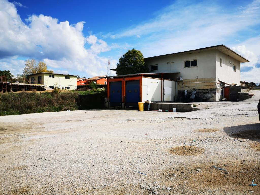 immagine annuncio 1 di 8