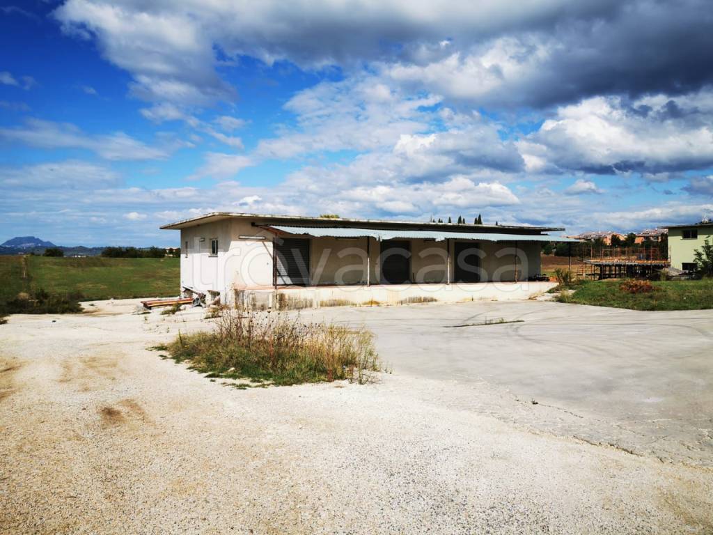 immagine annuncio 2 di 8