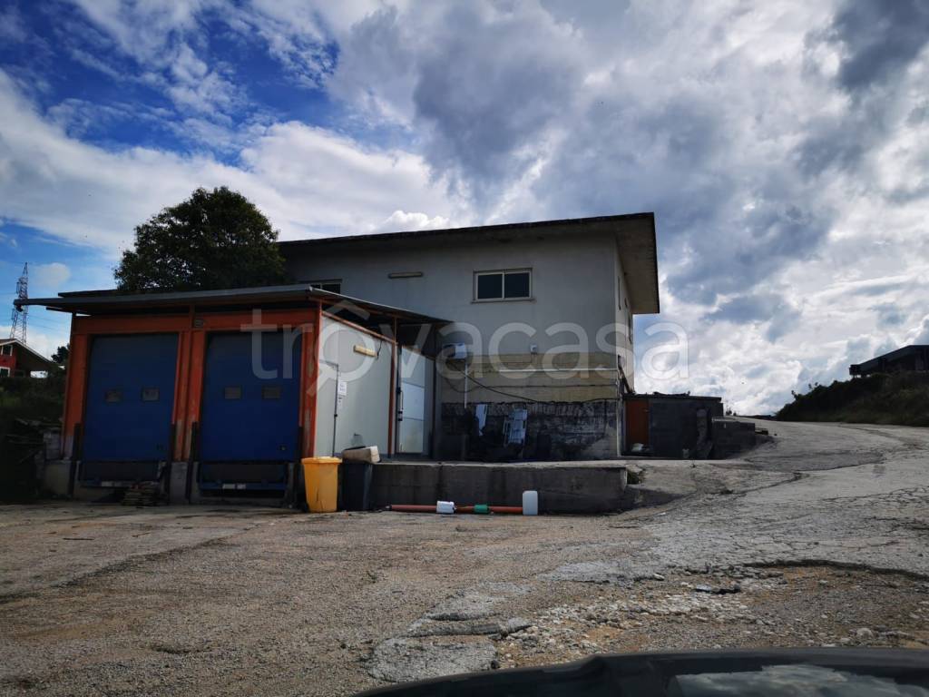 immagine annuncio 3 di 8