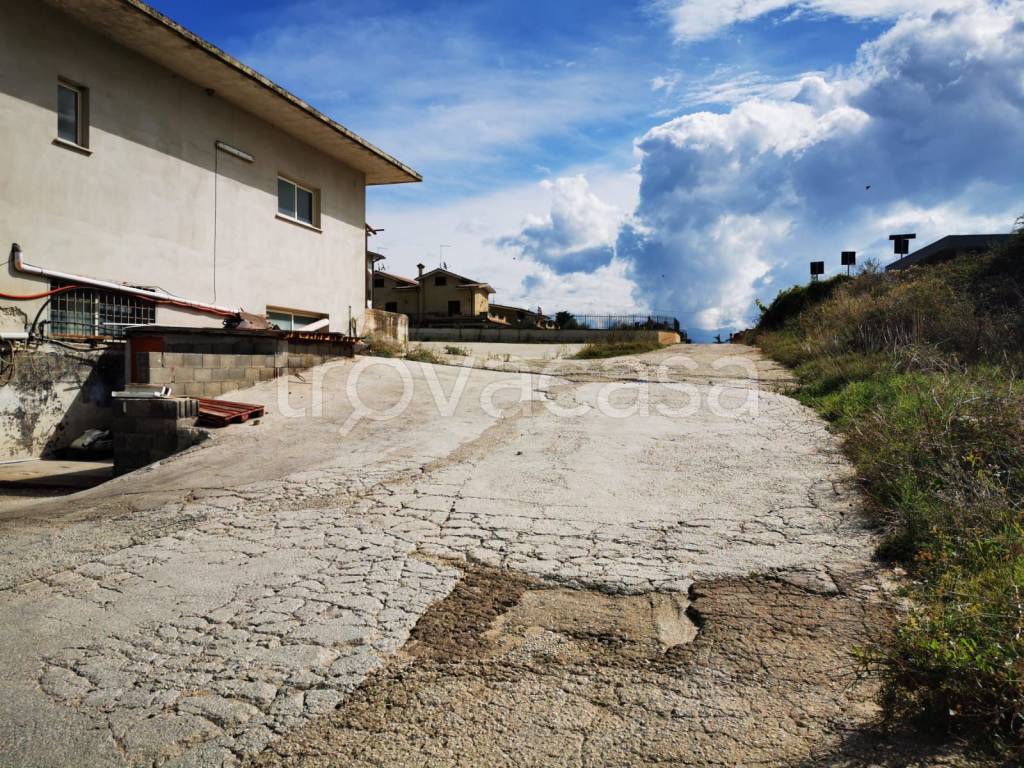 immagine annuncio 4 di 8