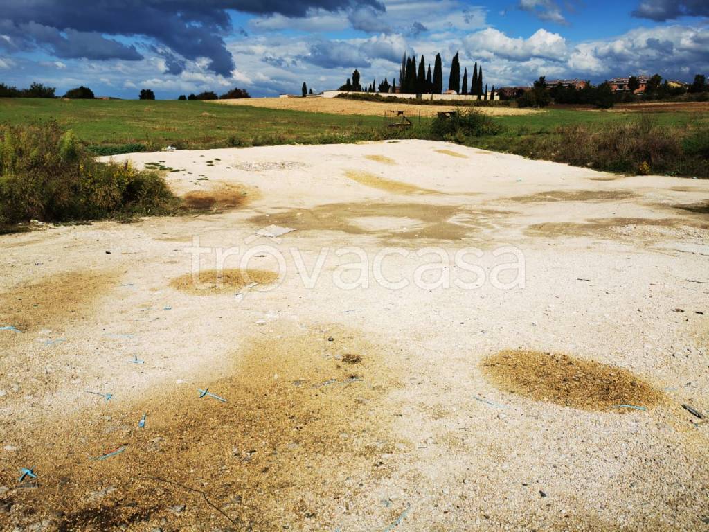 immagine annuncio 6 di 8