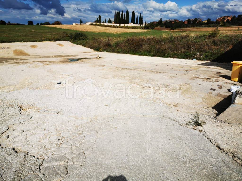 immagine annuncio 5 di 8