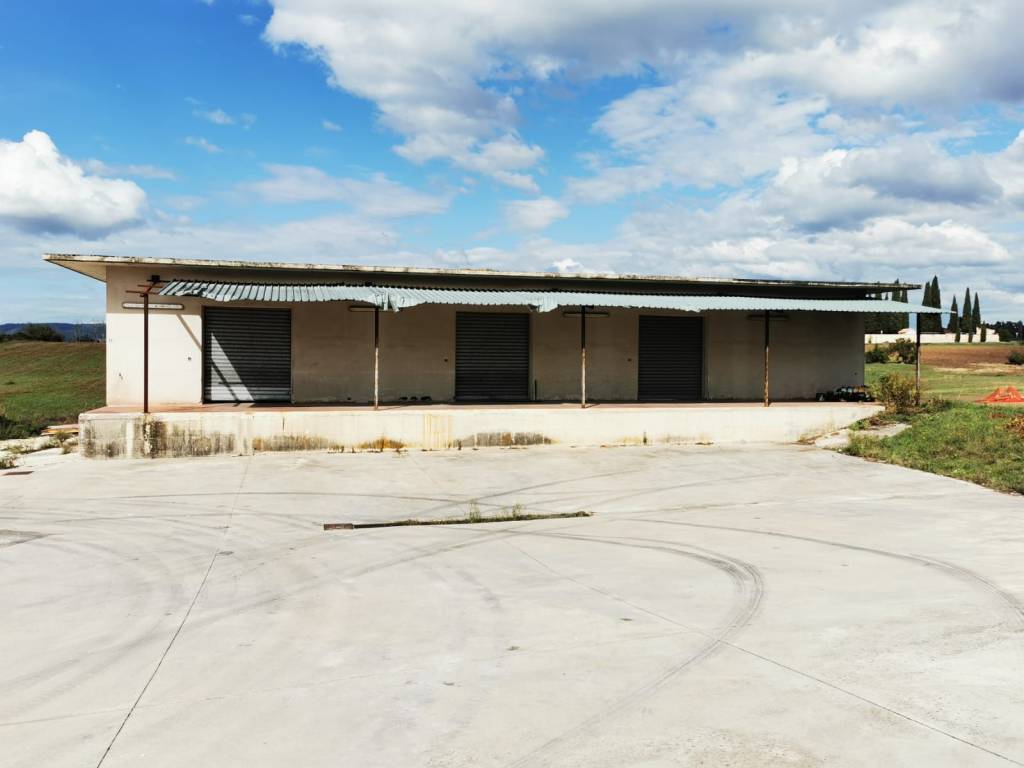 immagine annuncio 7 di 8