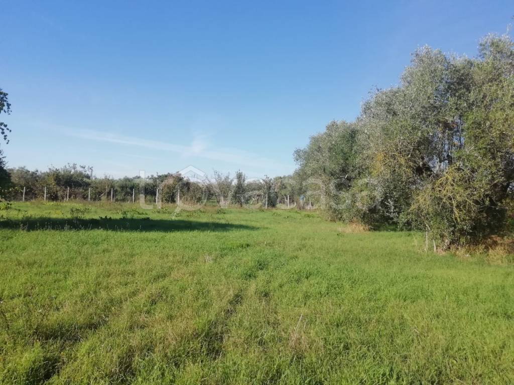 Terreno Agricolo in vendita a Lanuvio via Malcavallo