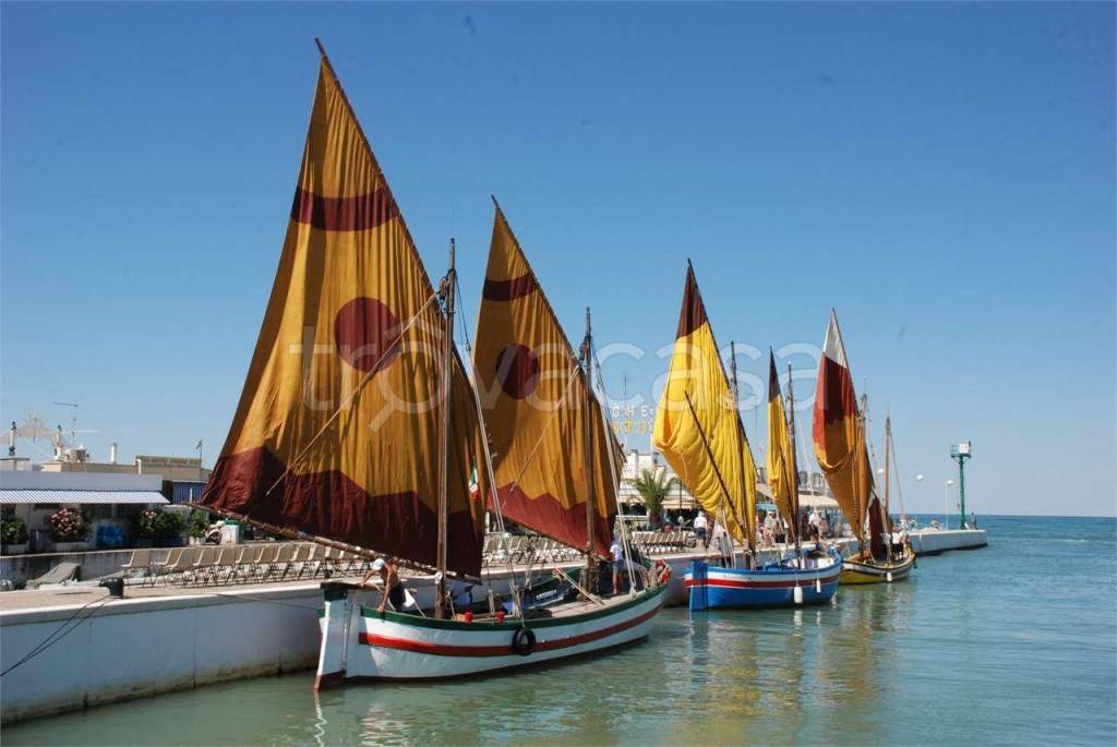 immagine annuncio 3 di 9