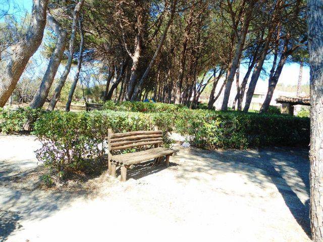 immagine annuncio 6 di 9
