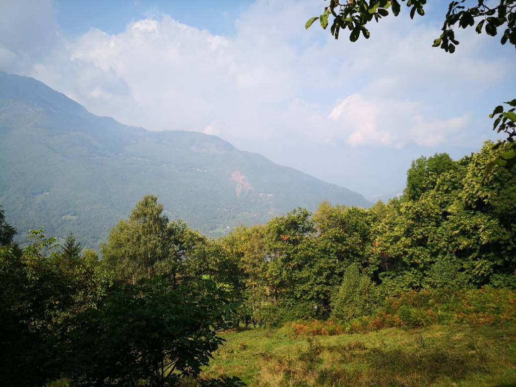 immagine annuncio 3 di 13