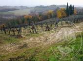Terreno Agricolo in vendita a San Gimignano località palagetto-cortennano