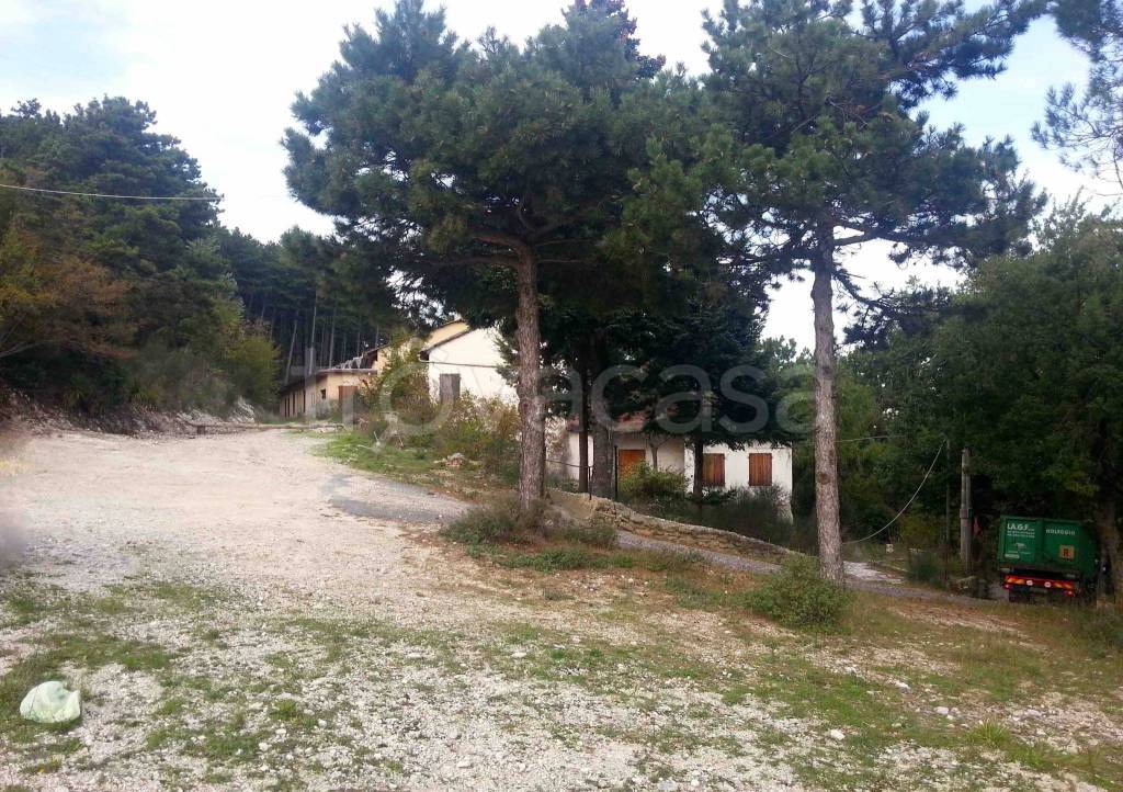 immagine annuncio 3 di 7