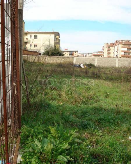 immagine annuncio 5 di 8