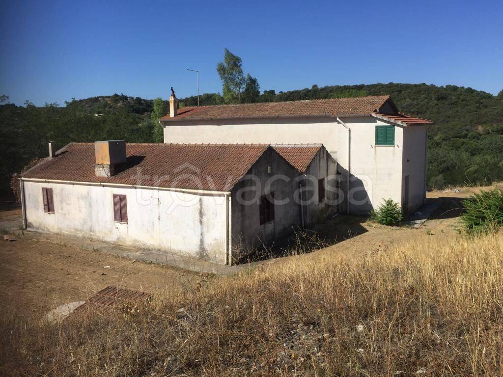Azienda Agricola in in vendita da privato a Matera via Lucana, 62