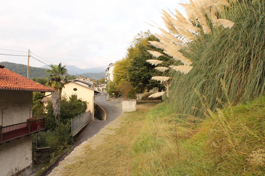 immagine annuncio 13 di 14