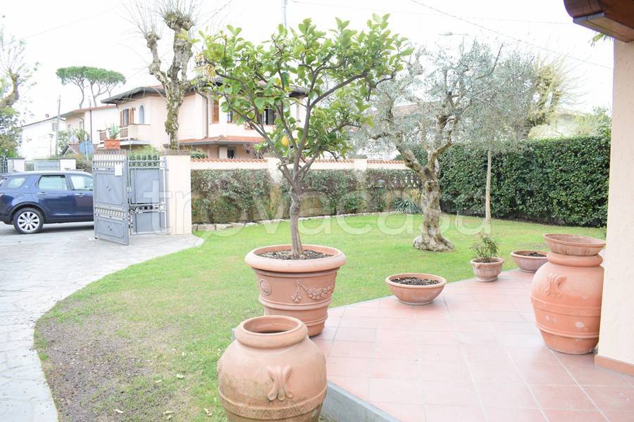 immagine annuncio 3 di 14