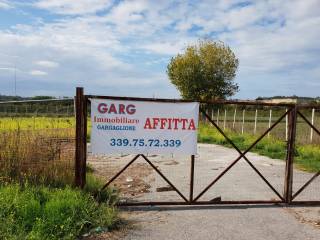 Terreno agricolo in affitto a quarto via campana