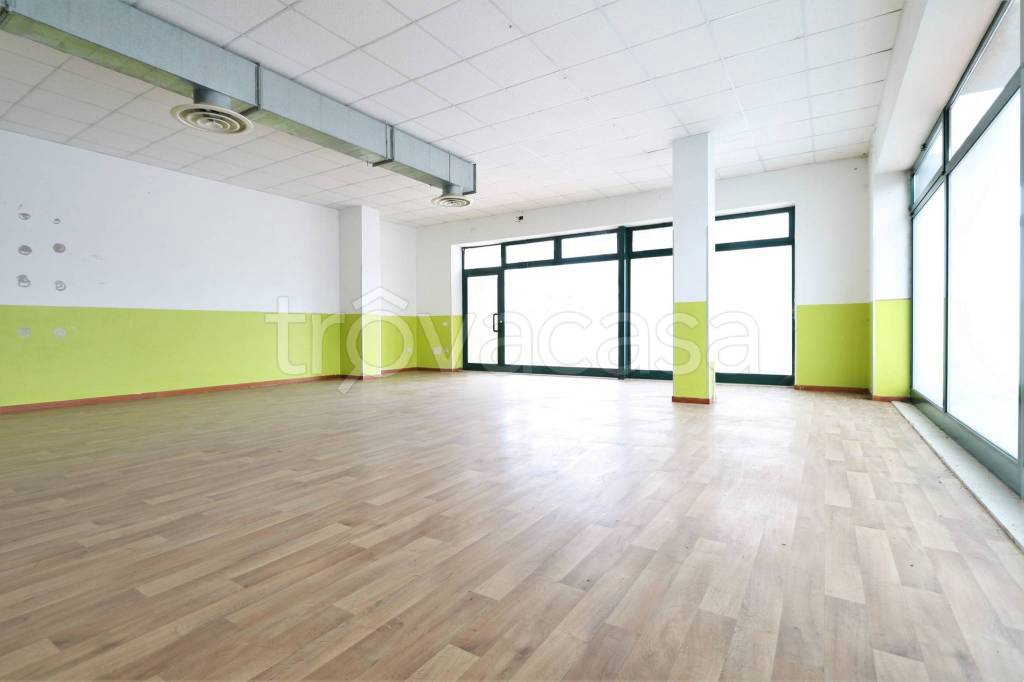 immagine annuncio 4 di 14