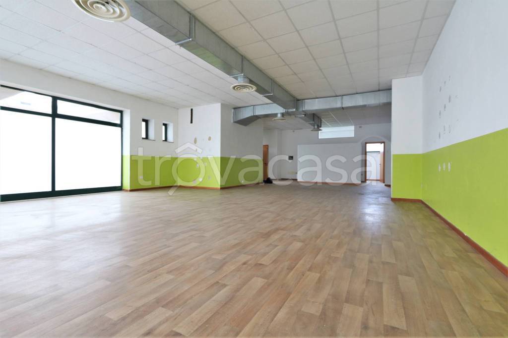 immagine annuncio 6 di 14