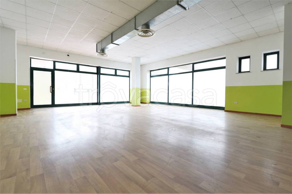 immagine annuncio 7 di 14