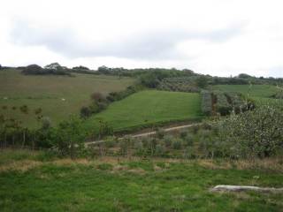 Terreno agricolo in vendita a magliano in toscana 