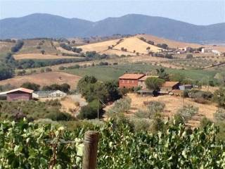 Azienda agricola in vendita a grosseto 