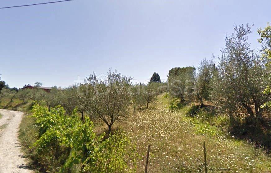 Terreno Agricolo in vendita a Monte San Savino località San Cristoforo