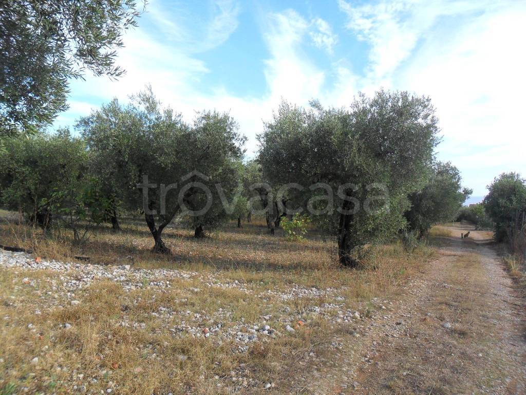 Terreno Agricolo in vendita a Formia variante formia-garigliano