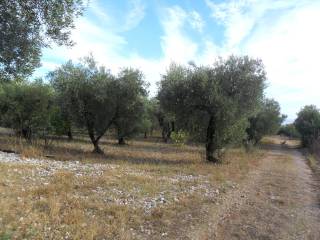 Terreno agricolo in vendita a formia via le starze