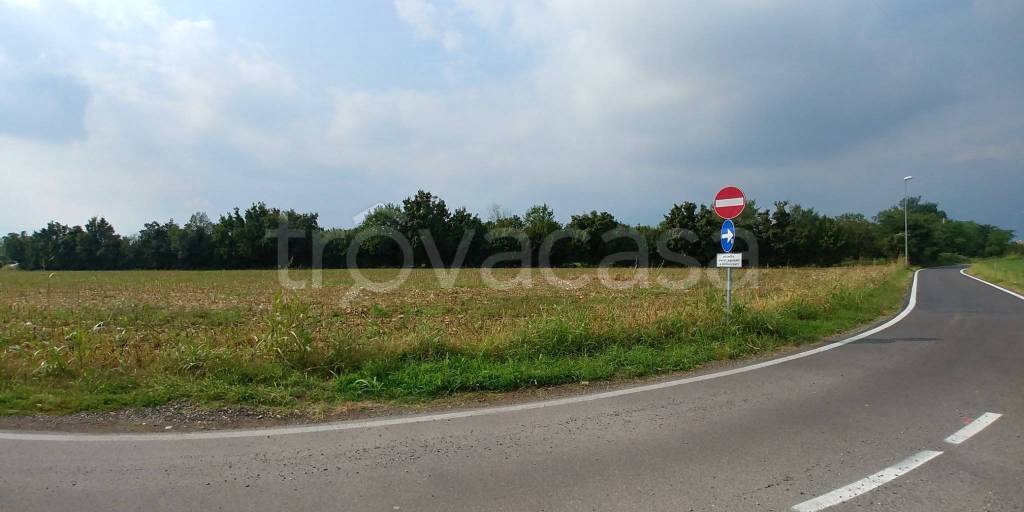 immagine annuncio 12 di 14