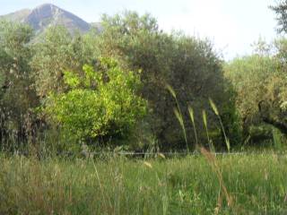 Terreno agricolo in vendita a formia via appia lato roma