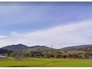 Terreno agricolo in affitto a teti sp36