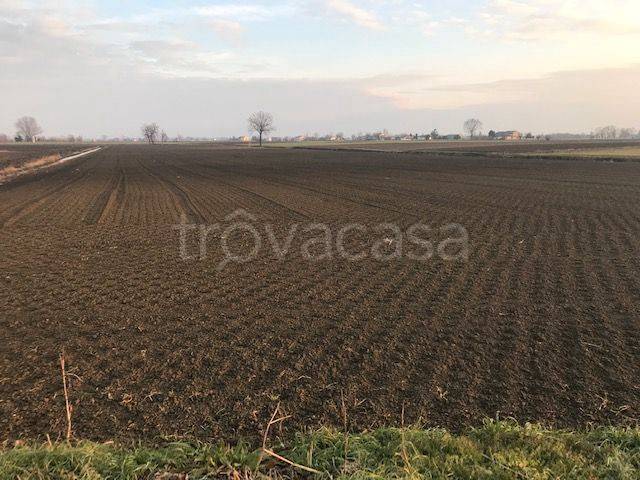 Terreno Agricolo in vendita a Castelmassa via Cascina, 12