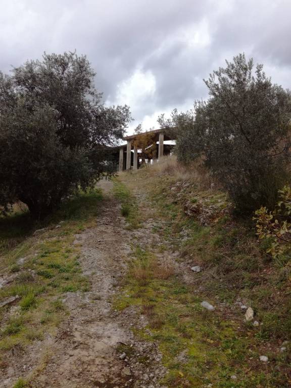 immagine annuncio 2 di 4