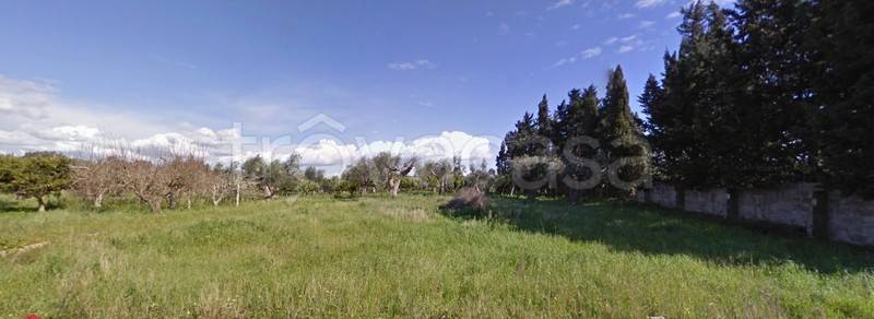 Terreno Agricolo in vendita ad Alezio sp 54