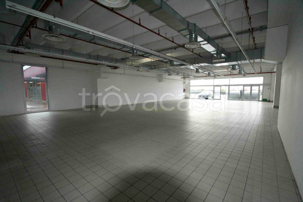 immagine annuncio 1 di 2