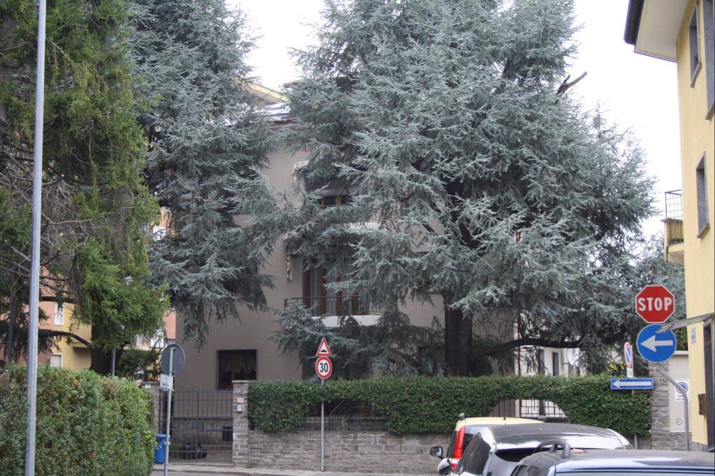Appartamento in in vendita da privato a Domodossola via Gibellino, 17