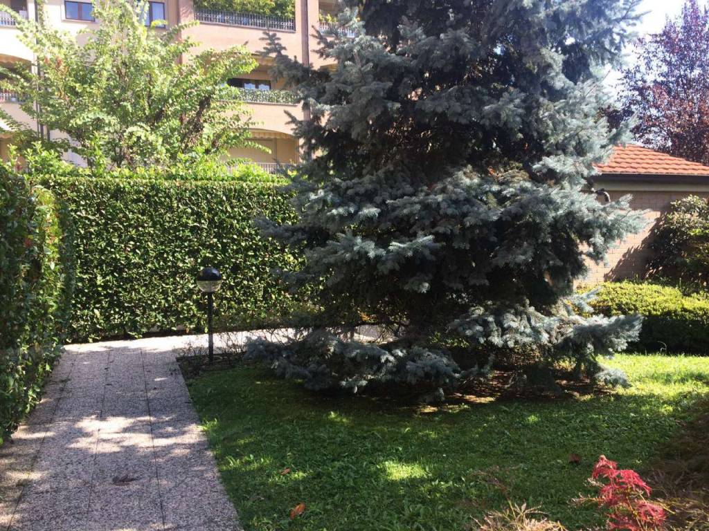 immagine annuncio 3 di 14