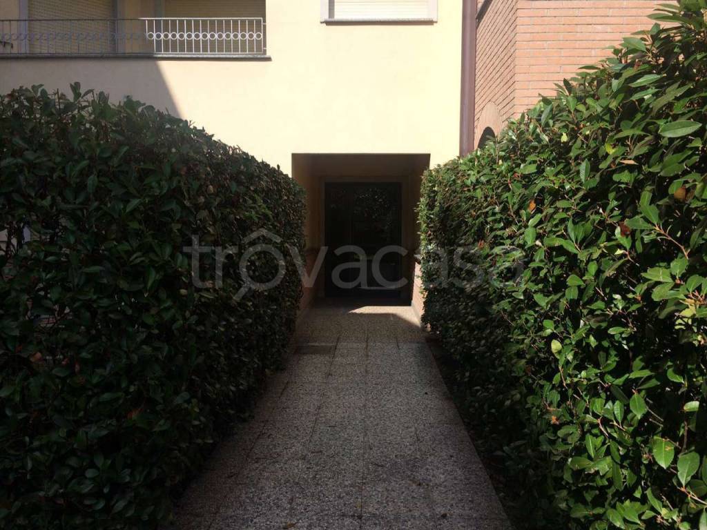 immagine annuncio 4 di 14