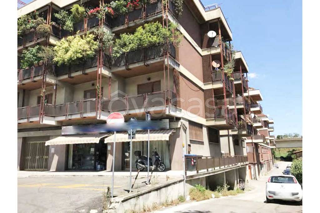 immagine annuncio 2 di 7