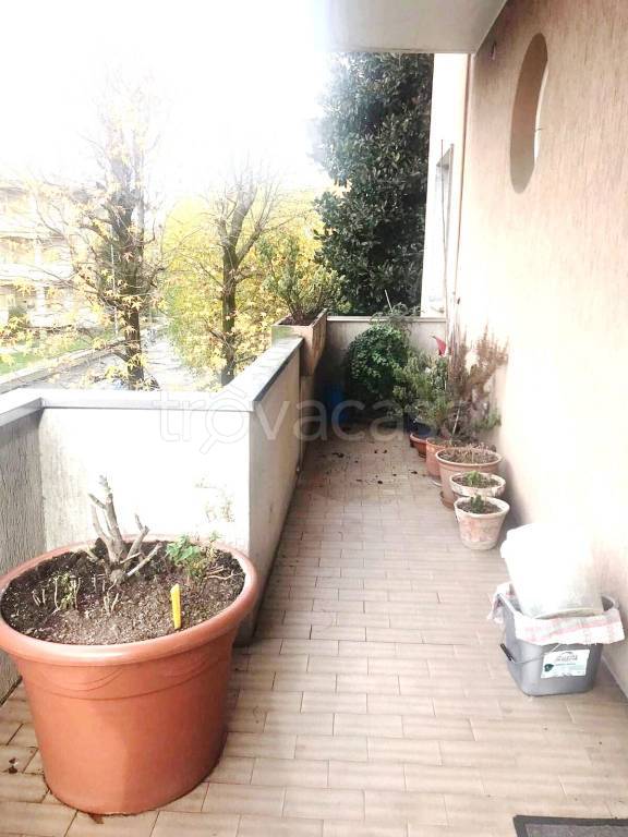 immagine annuncio 2 di 13