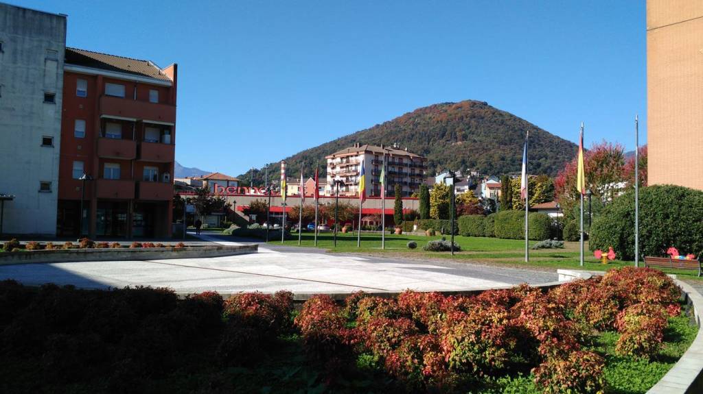 immagine annuncio 6 di 10