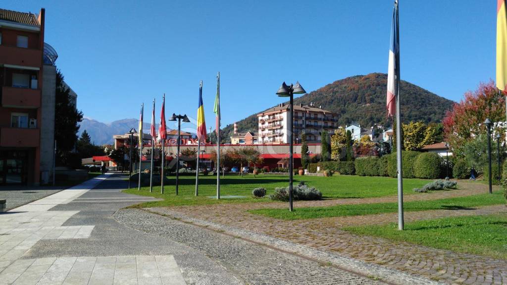 immagine annuncio 5 di 10